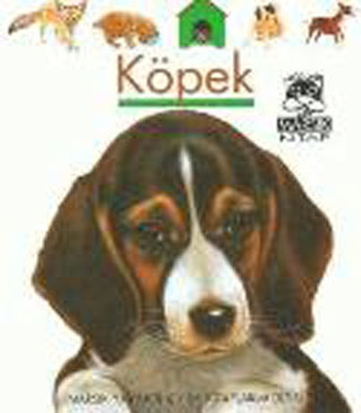 İlk Kitaplarım-Köpek.pdf