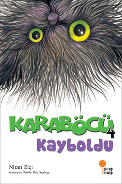 Karaböcü Kayboldu.pdf