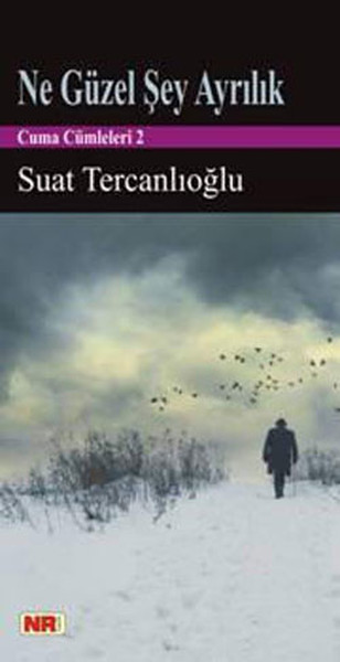 Ne Güzel Şey Ayrılık.pdf