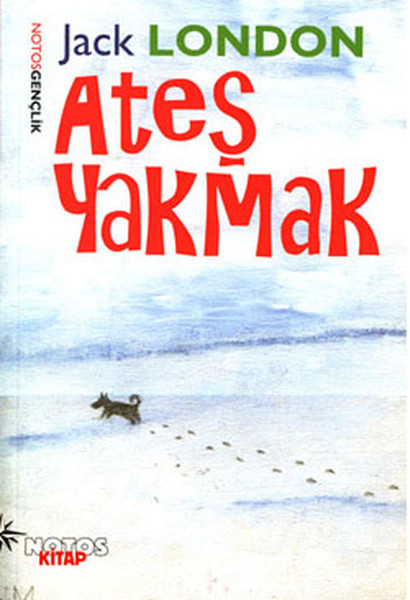 Ateş Yakmak.pdf