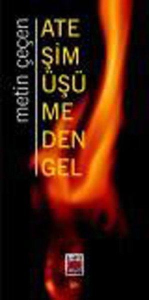 Ateşim Üşümeden Gel.pdf