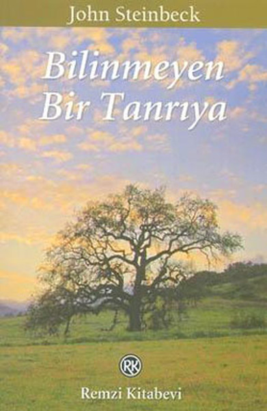 Bilinmeyen Bir Tanrıya.pdf