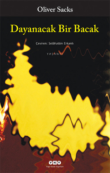 Dayanacak Bir Bacak.pdf