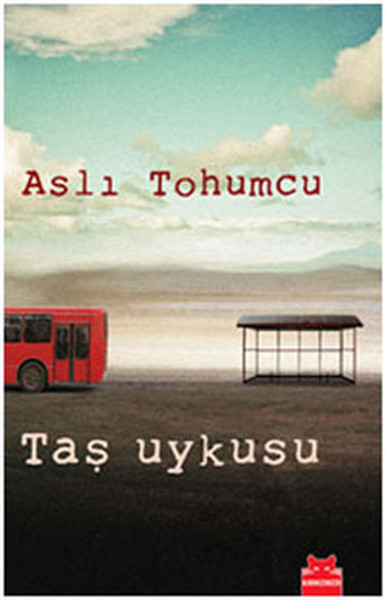 Taş Uykusu.pdf