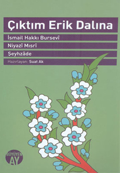 Çıktım Erik Dalına.pdf