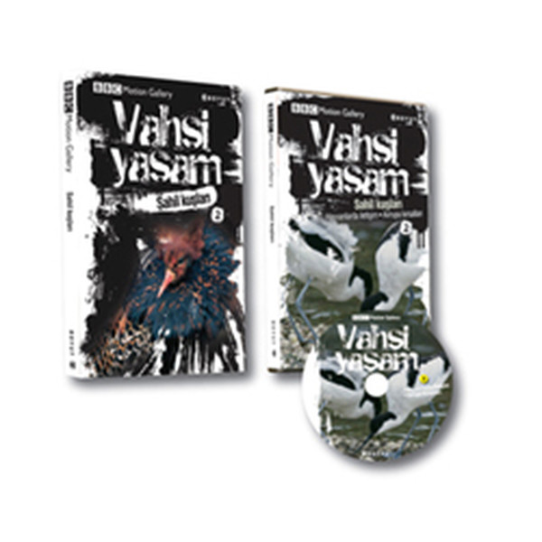Vahşi Yaşam 2/ Sahil Kuşları.pdf