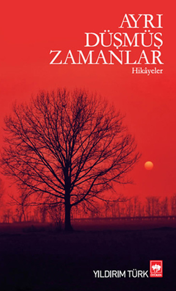 Ayrı Düşmüş Zamanlar.pdf