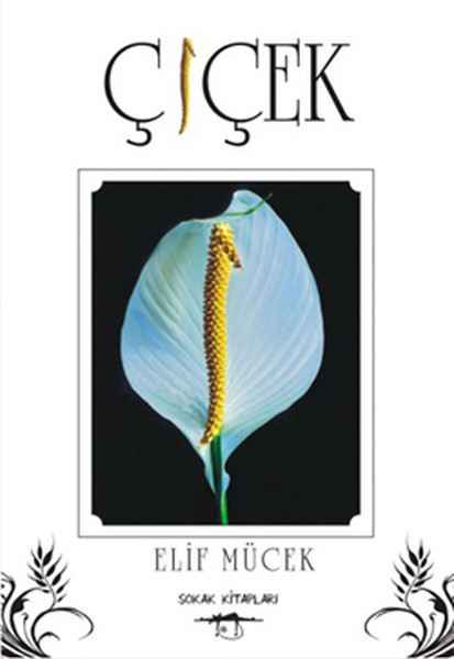 Çiçek.pdf