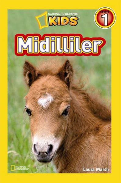 Midilliler.pdf