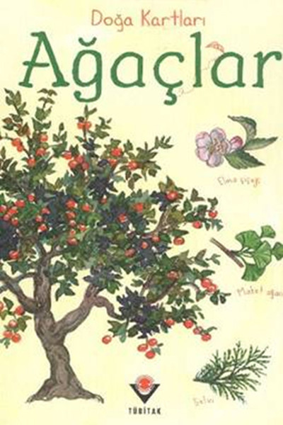 Doğa Kartları - Ağaçlar.pdf
