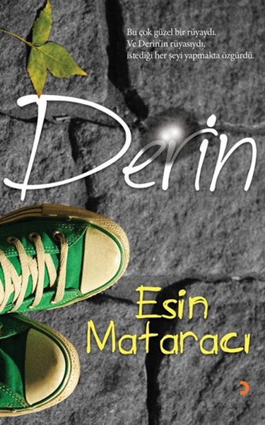 Derin.pdf