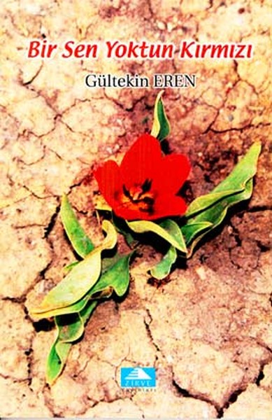 Bir Sen Yoktun Kırmızı.pdf