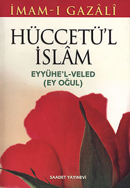 Hüccetül İslam Eyyühel- Veled.pdf
