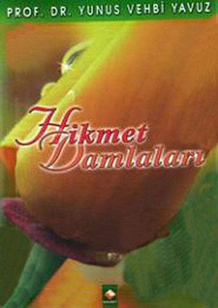 Hikmet Damlaları.pdf