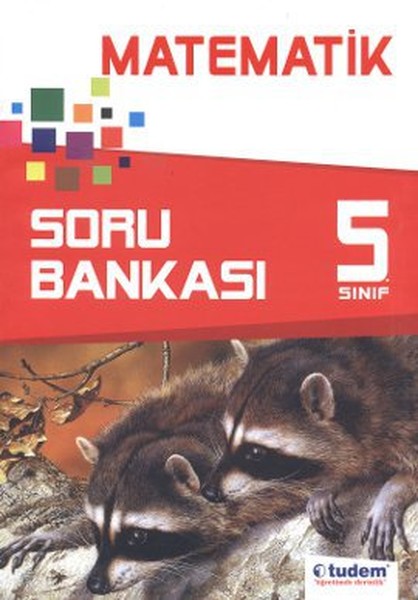 5. Sınıf Matematik Soru Bankası.pdf
