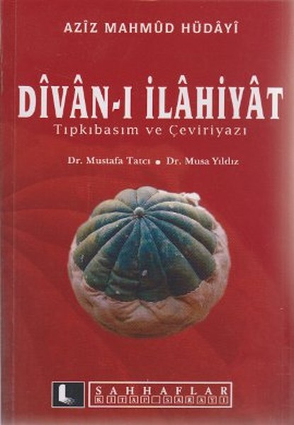 Divan-ı İlahiyat.pdf