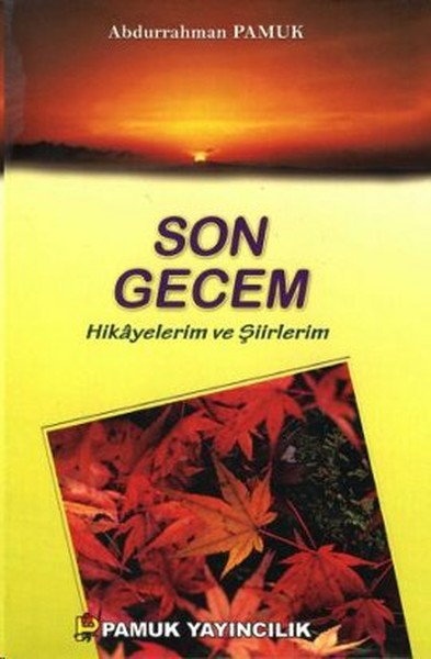 Son Gecem (Kültür-003/P14).pdf