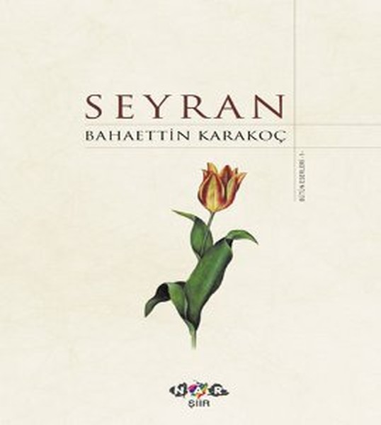 Seyran.pdf