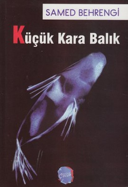 Küçük Kara Balık.pdf