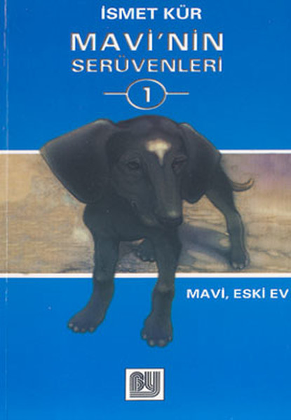 Mavinin Serüvenleri 1 - Eski Ev.pdf