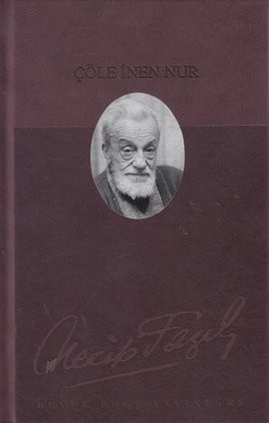 Çöle İnen Nur - Deri Ciltli.pdf