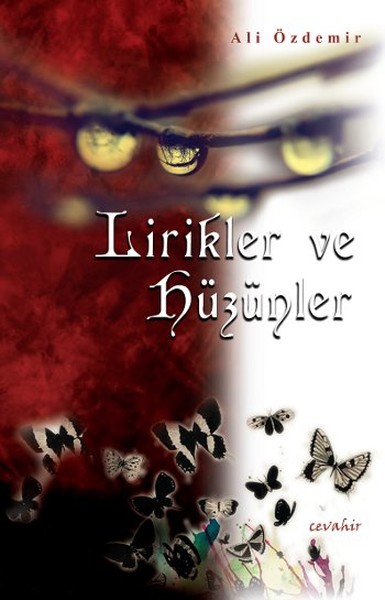 Lirikler ve Hüzünler.pdf