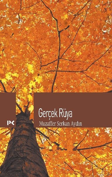 Gerçek Rüya.pdf