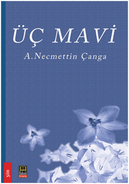 Üç Mavi.pdf