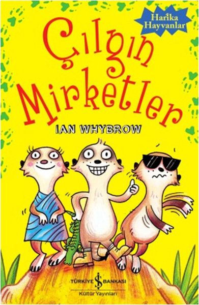Çılgın Mirketler.pdf