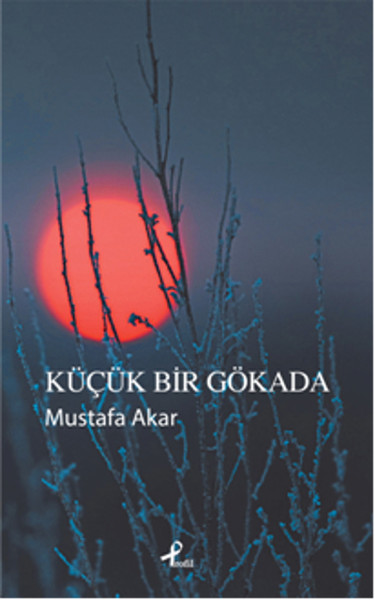 Küçük Bir Gökada.pdf