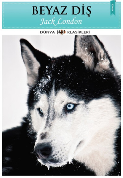 Beyaz Diş.pdf