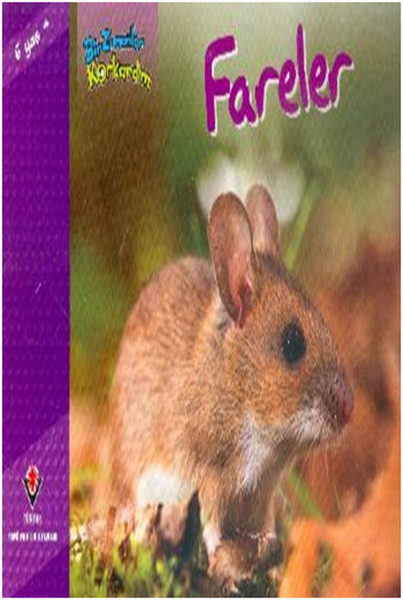 İlk Okuma - Fareler.pdf