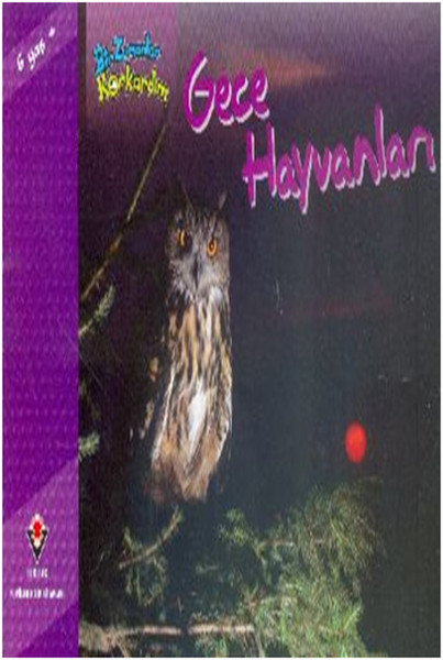 Bir Zamanlar Korkardım - Gece Hayvanları.pdf