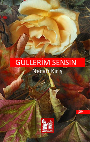 Güllerim Sensin.pdf