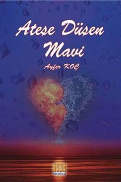 Ateşe Düşen Mavi.pdf