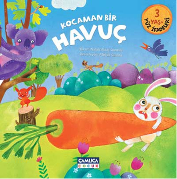 Kocaman Bir Havuç - Yüz İfadeleri.pdf