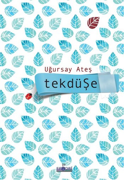 Tekdüşe.pdf