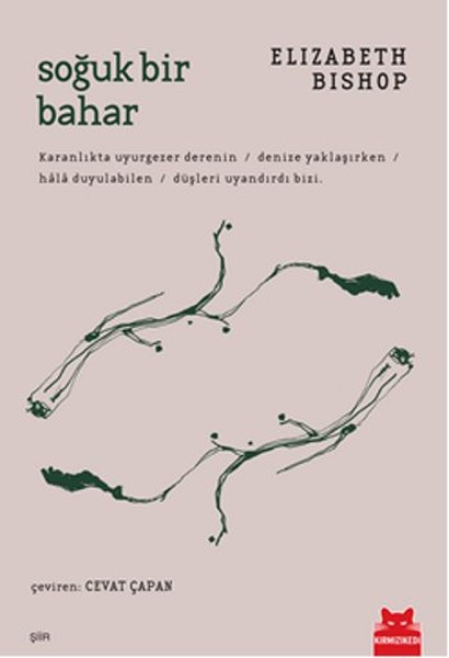 Soğuk Bir Bahar.pdf