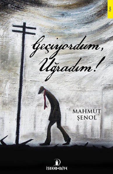Geçiyordum, Uğradım!.pdf