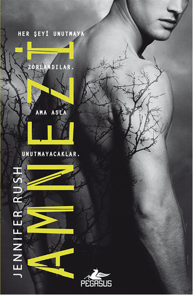 Amnezi.pdf