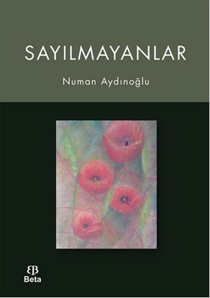 Sayılmayanlar.pdf