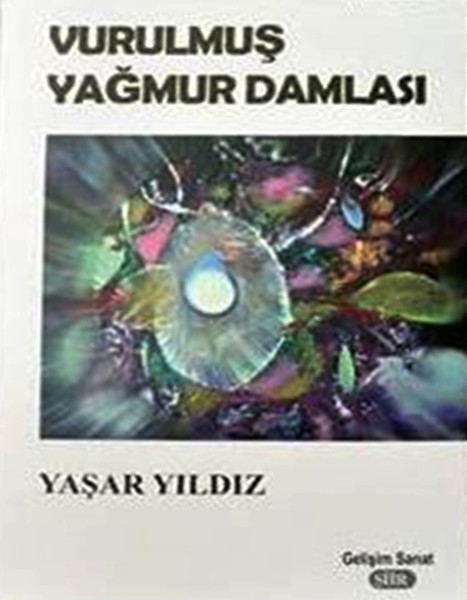 Vurulmuş Yağmur Damlaları.pdf