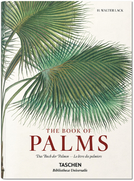 Book Of Palms.pdf