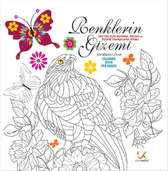 Renklerin Gizemi.pdf