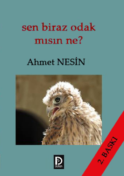 Sen Biraz Odak mısın Ne?.pdf
