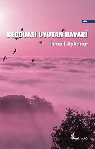 Bedduası Uyuyan Havari.pdf