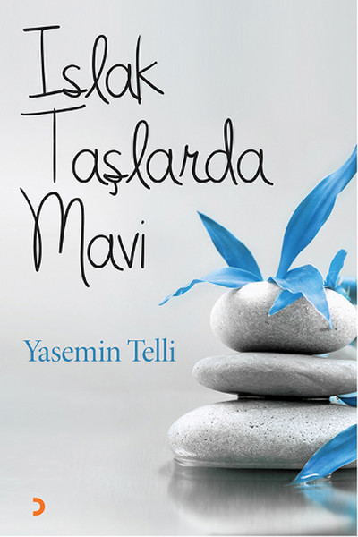 Islak Taşlarda Mavi.pdf