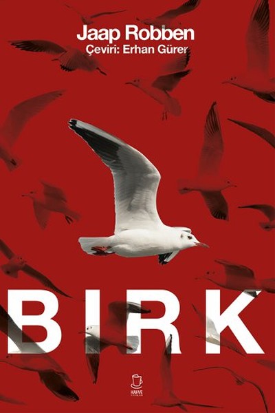 Birk.pdf