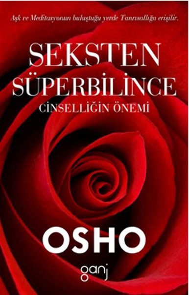Seksten Süperbilince.pdf