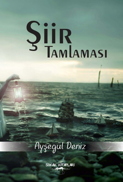 Şiir Tamlaması.pdf